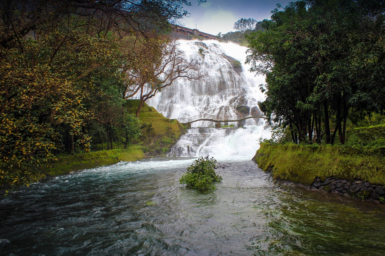 Bhandardara