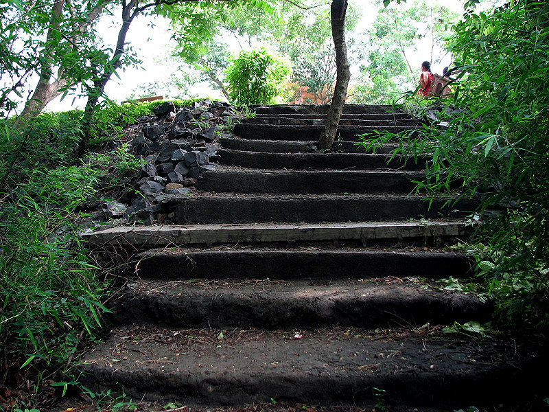 Sanjay Gandhi National Park