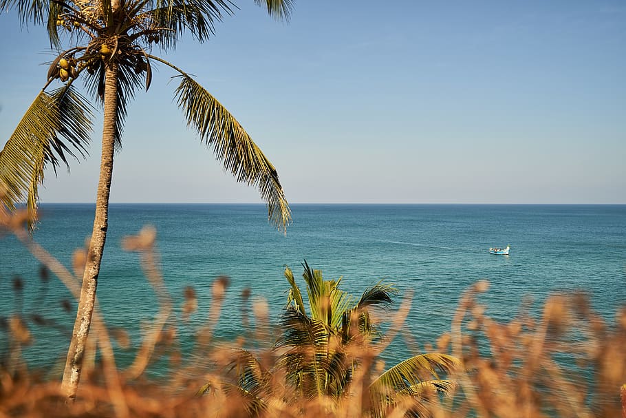 Varkala Beach